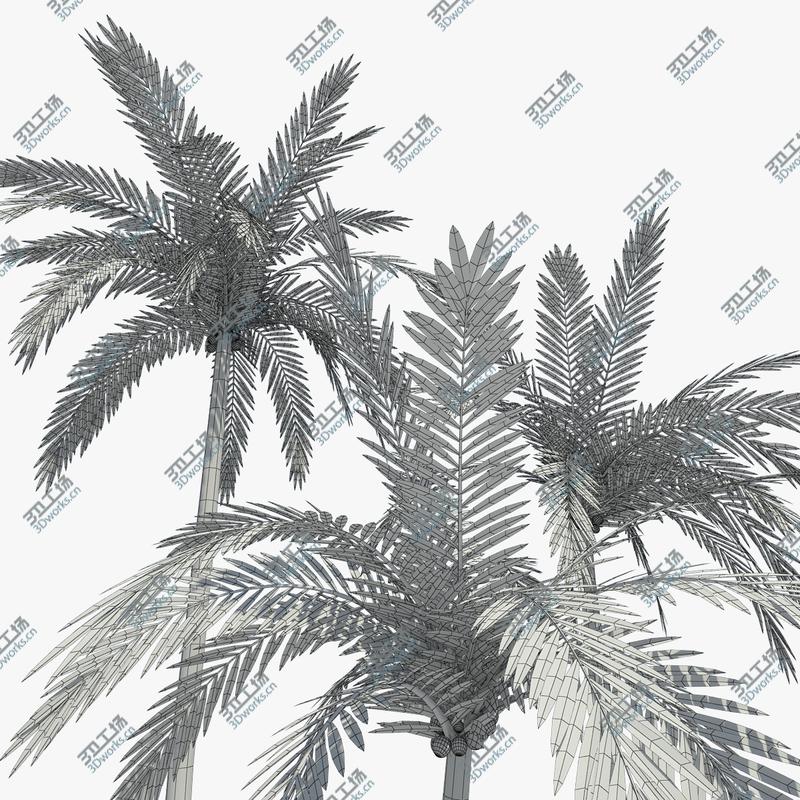 images/goods_img/202105072/Coconut Palms Set 01/3.jpg